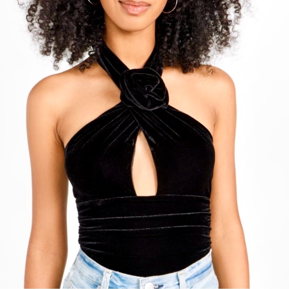 Bardot Inara Velour Bodysuit Halter Top, NEW